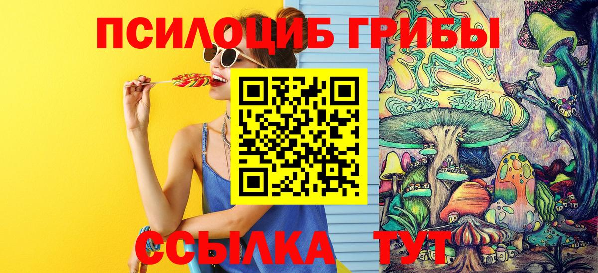 Сальск  Псилоцибиновые грибы Psilocybe  Вход с VPN 